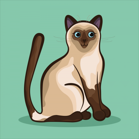 Кошка