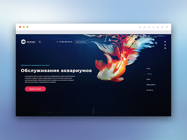 AquaLogic Обслуживание аквариумов