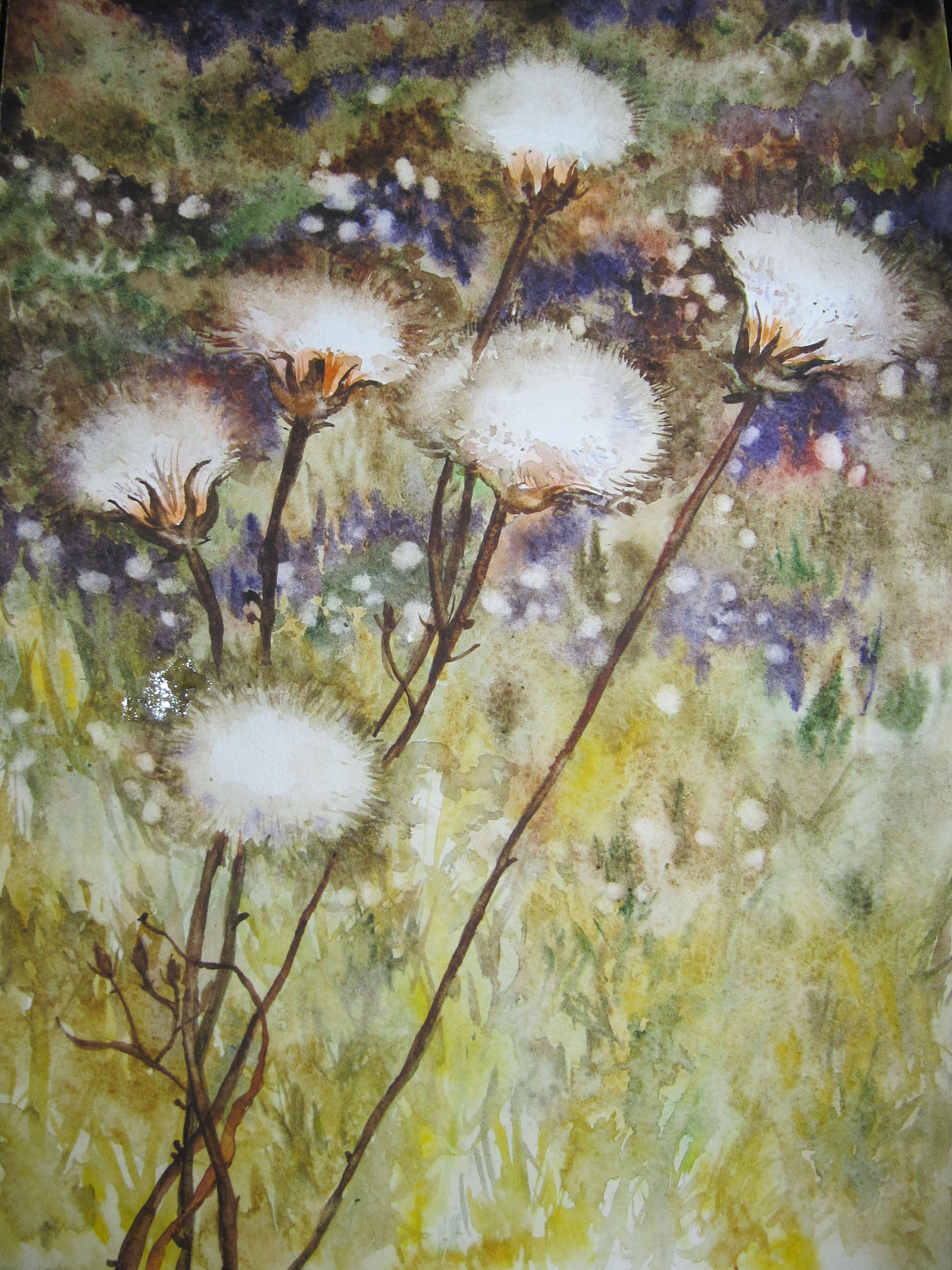 pic2888630.jpg