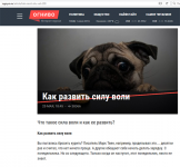 Статья для электронного журнала