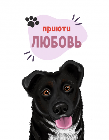 Иллюстрация для приюта бездомных животных