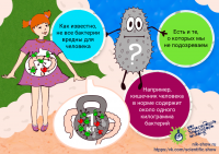 Векторная иллюстрация