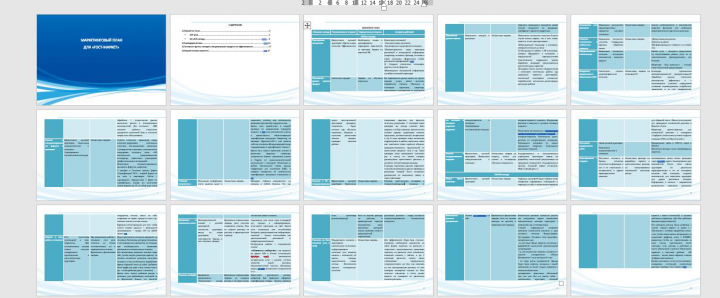 Маркетинговая стратегия и маркетинговый план