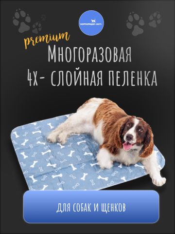 Дизайн карточек товара