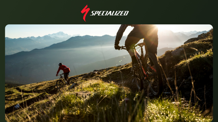 Проект "Specialized"