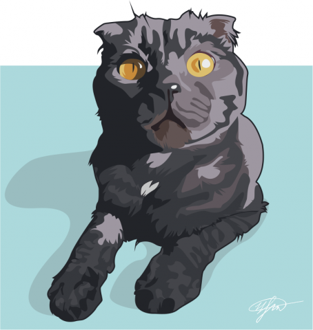 Кот