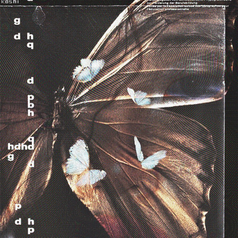 Мой графический дизайн