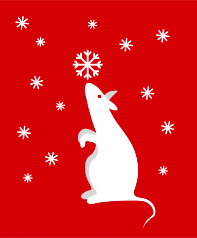 Крыса