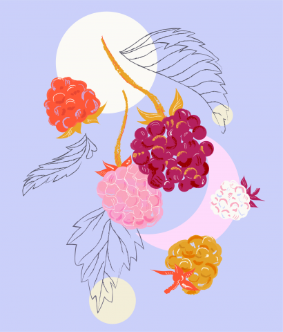 Berry