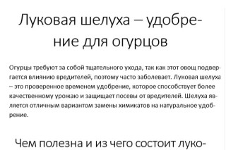 "Луковая шелуха - удобрение для огурцов"