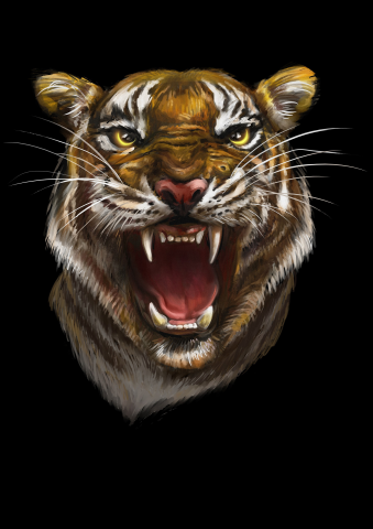 Работа 4095251