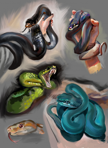 Работа 4095232