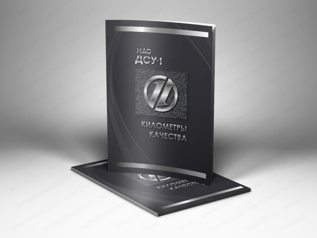 Презентационный буклет для ДСУ-1