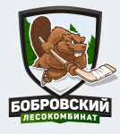 Логотип для хоккейной команды