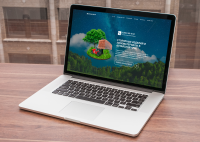 Лесные дали