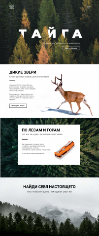 лендинг тур.услуги