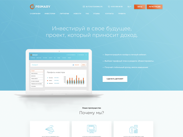 Investment company "Primary" (concept)