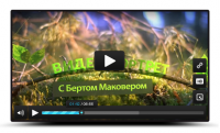 Видео-портрет. Астрология
