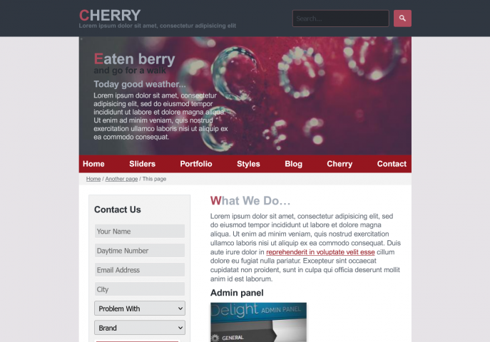Cherry - работа из учебного курса