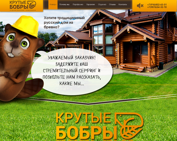 концепт "крутые бобры"