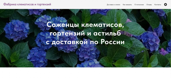 Интернет-магазин саженцев