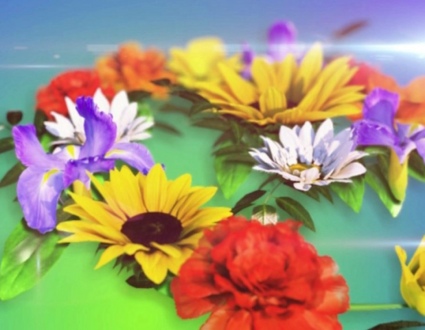 Программа "Дачный сезон"