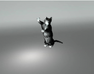 анимация кота - flash
