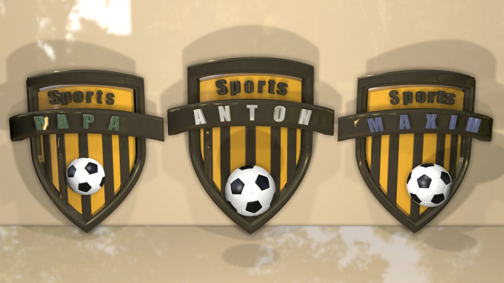 Sport