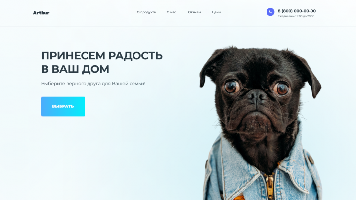 дизайн сайта для магазин  животных