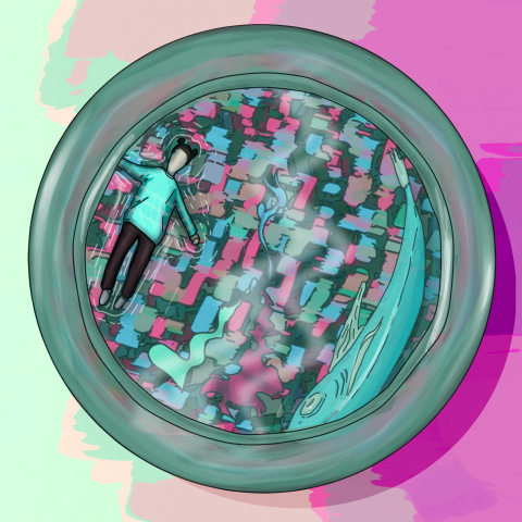 Вперед по течению