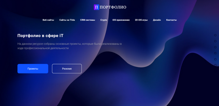 Портфолио