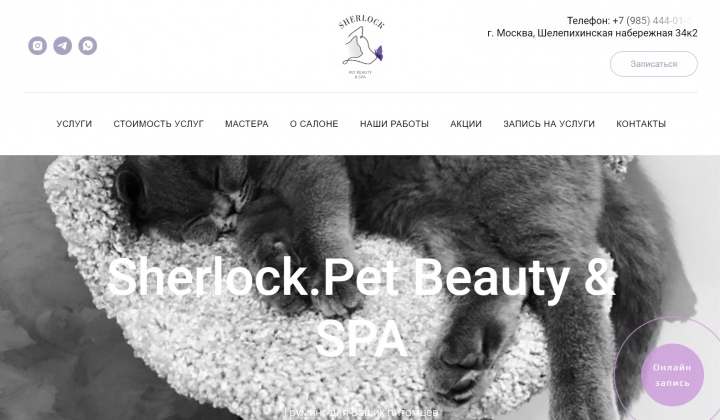 Сайт груминга для питомцев
