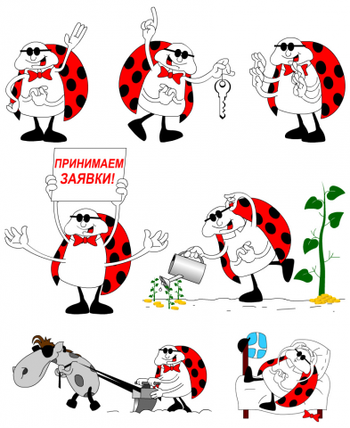 Жук для Университета