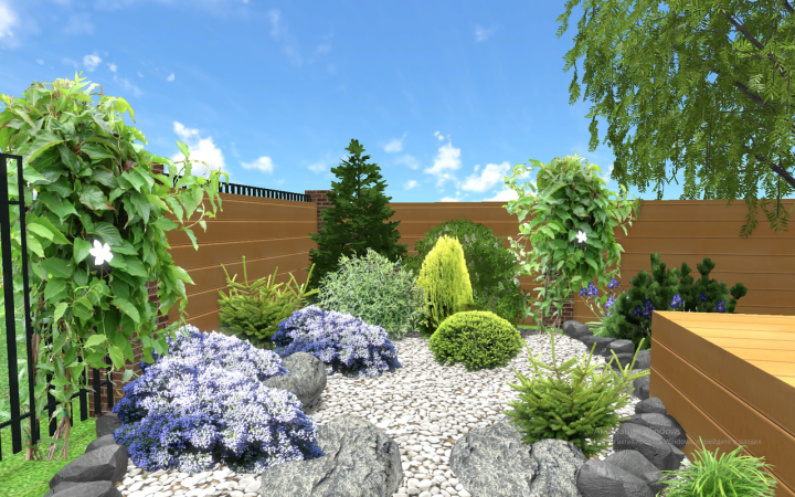 Проект участка в Зальцовском бору