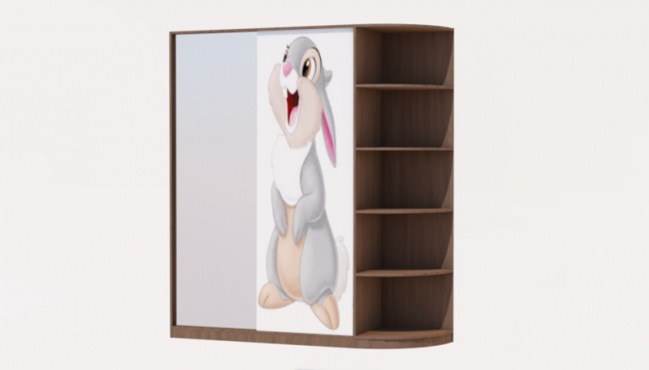 Шкаф-купе в детскую