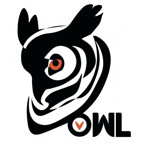 Логотип сова owl
