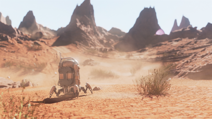 Desert