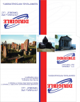 Конверт для авиабилетов 2008