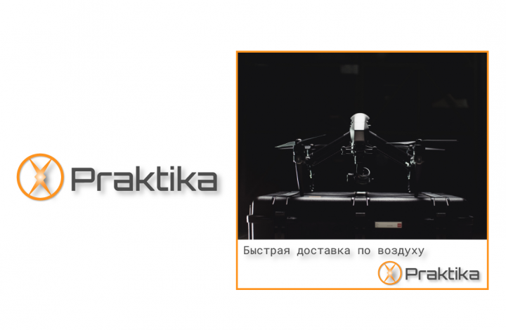 Фирменный стиль для Praktika