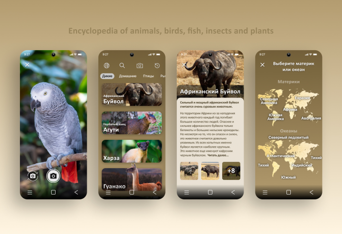 Zoo