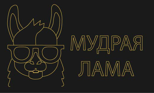 Компьютерная школа "Мудрая лама"