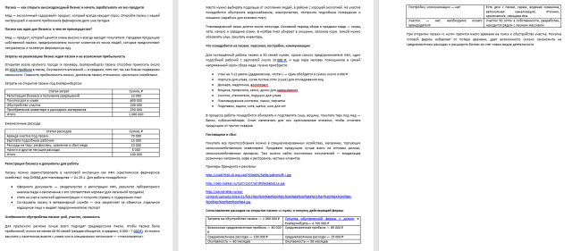 Бизнес-план: открытие пасеки