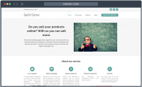 Multi-language sale support