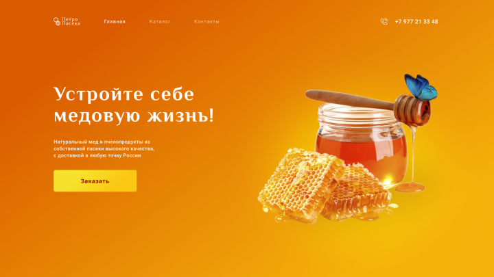 Первые экраны сайтов