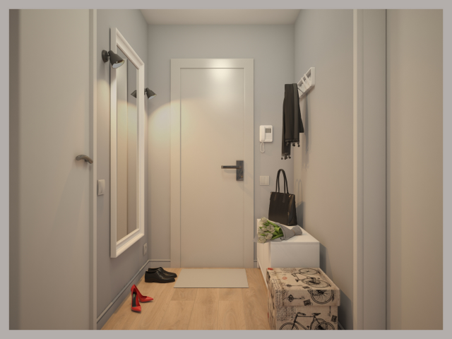 Проект типовой однушки.Прихожая