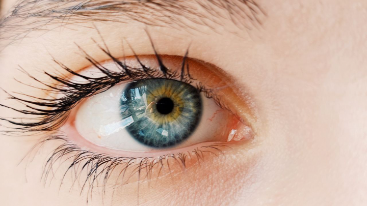 Красота в глазах