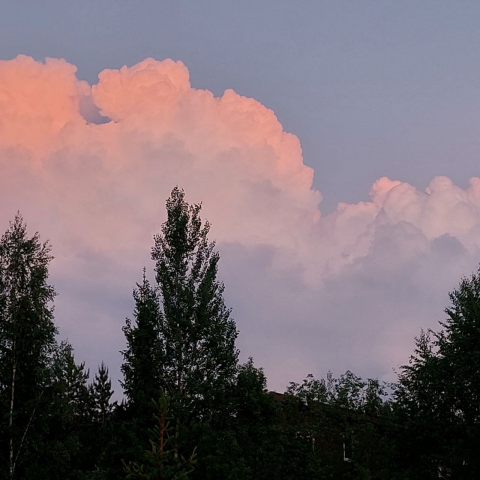 Природа и вечер