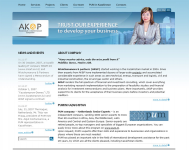 AK&P, финансовый и стратегический консалтинг