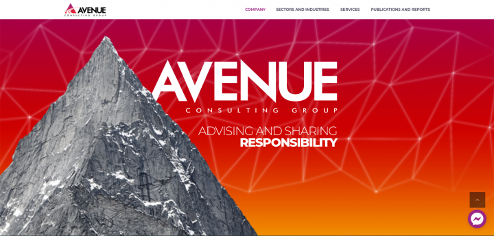 Консалтинговая компания "AvenueConsulting"