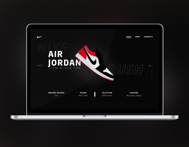 Nike Air Jordan 1